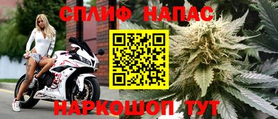 марихуана Будённовск