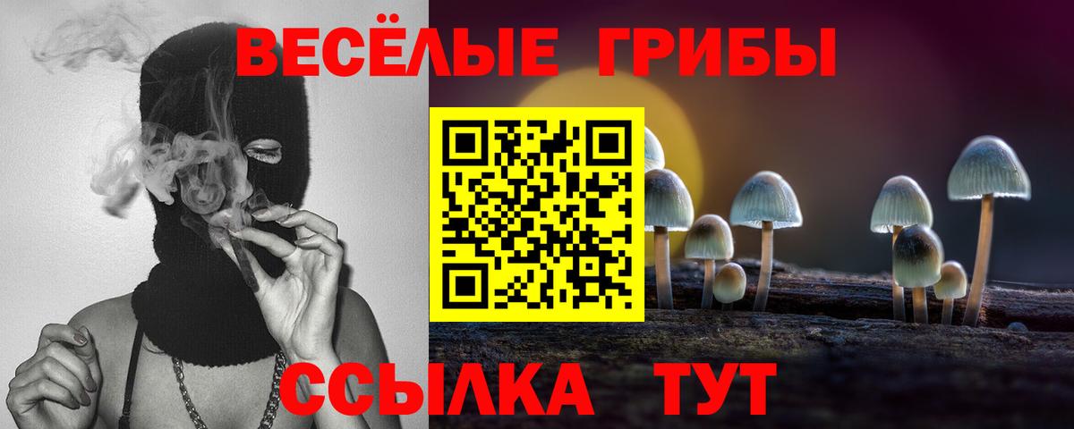 Псилоцибиновые грибы MAGIC MUSHROOMS  Вход с VPN  Скопин  Псилоцибиновые грибы мухоморы 